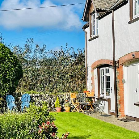 Honeysuckle Cottage Ilfracombe Exteriör bild
