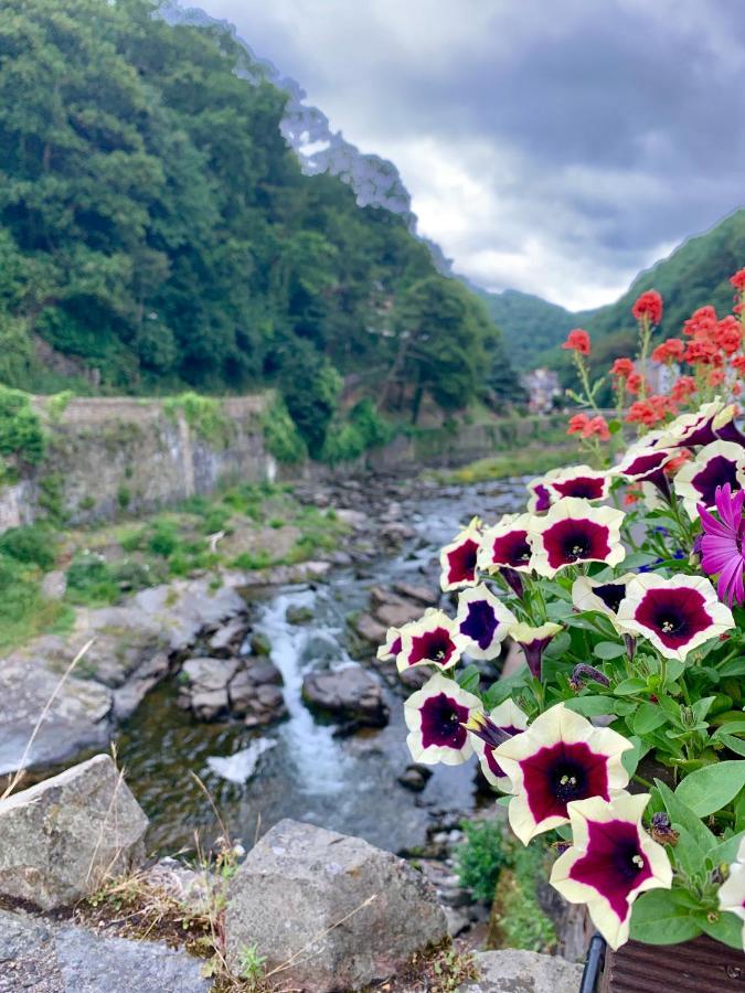 Honeysuckle Cottage Ilfracombe Exteriör bild