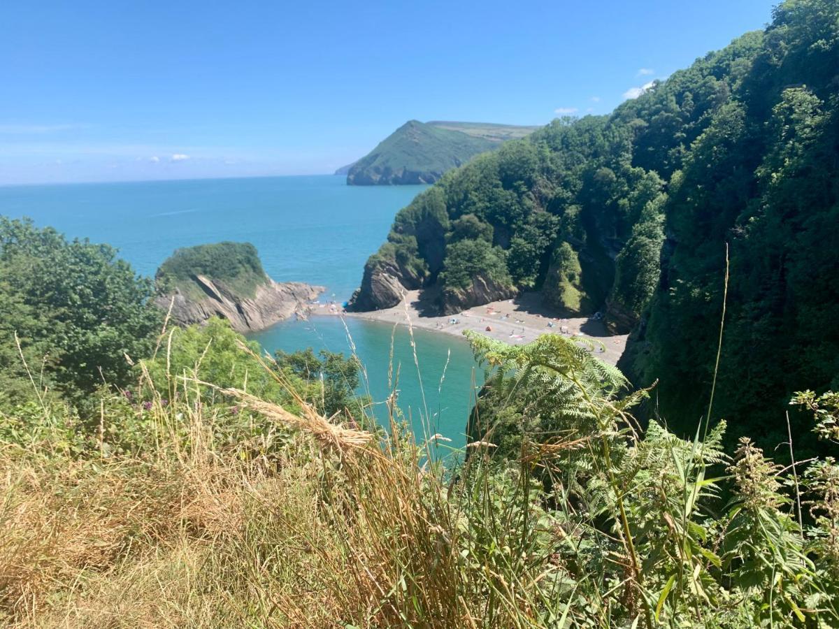 Honeysuckle Cottage Ilfracombe Exteriör bild